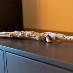 Sant'alfonso Agrigento