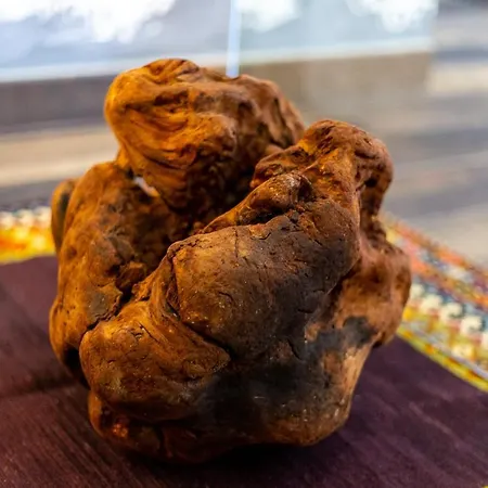 Sant'alfonso Alojamento de Acomodação e Pequeno-almoço 2*