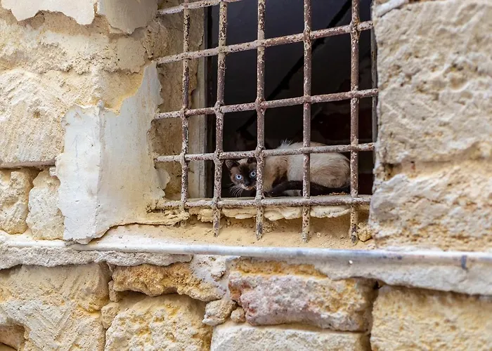 Bed & Breakfast Sant'alfonso