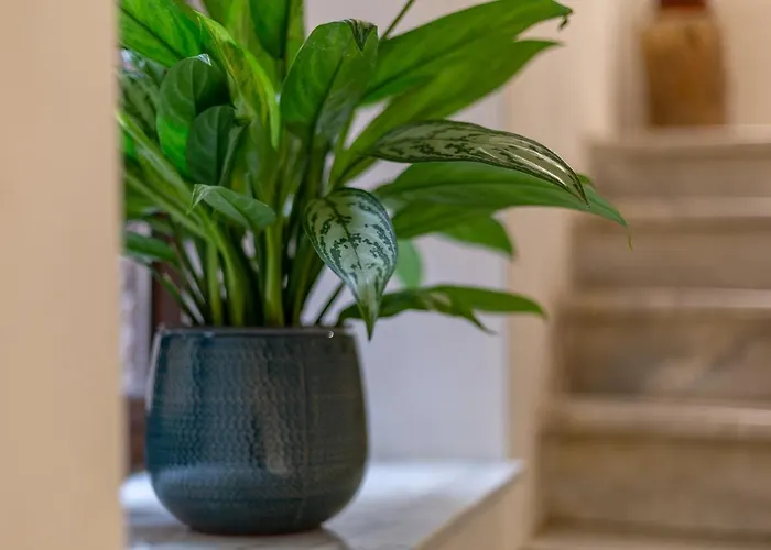 Bed & Breakfast Sant'alfonso Agrigento