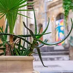 B&B Sant'alfonso 아그리젠토