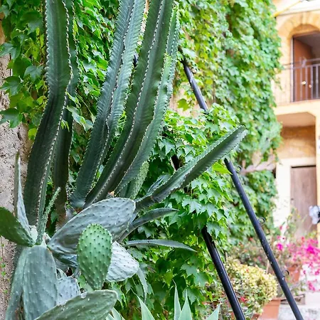 Bed & Breakfast Sant'alfonso