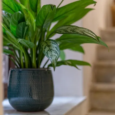 Bed & Breakfast Sant'alfonso Agrigento